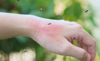 Viral DPRD Denda Masyarakat Rp 50JT Jika Ada Jentik Nyamuk